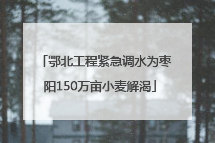 鄂北工程紧急调水为枣阳150万亩小麦解渴